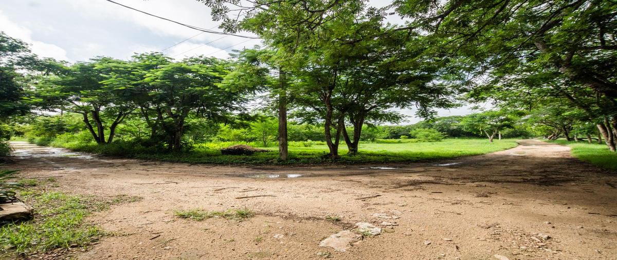 Foto de terreno habitacional en , conkal, conkal, yucatán, 27882109 foto 04 Foto de terreno habitacional en venta en , conkal, conkal, yucatán, 27882109 No. 04