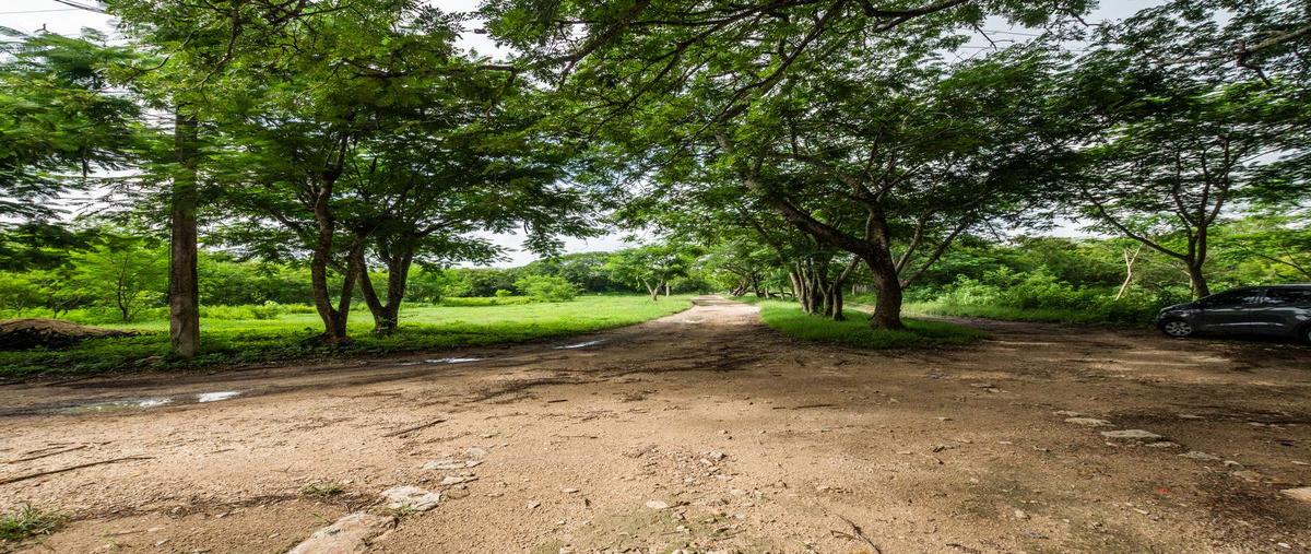 Foto de terreno habitacional en , conkal, conkal, yucatán, 27882109 foto 05 Foto de terreno habitacional en venta en , conkal, conkal, yucatán, 27882109 No. 05