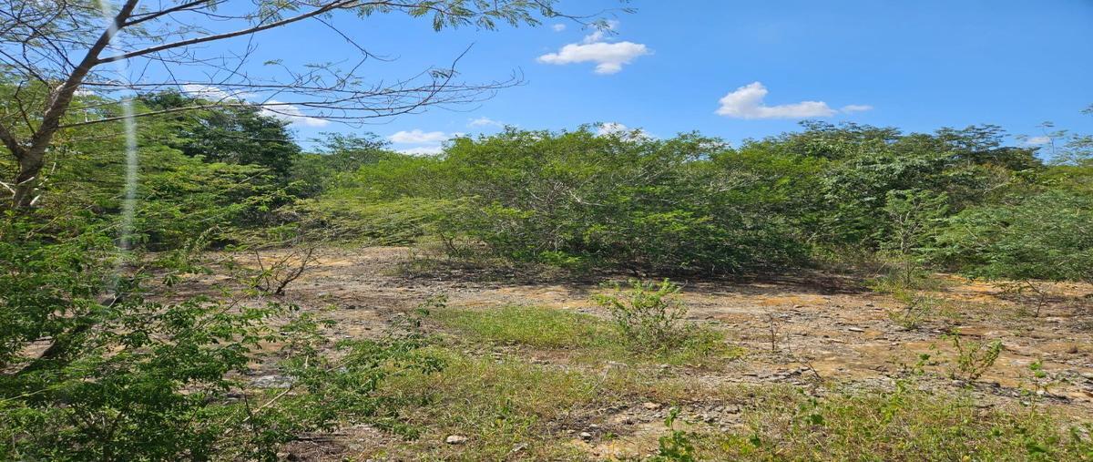 Foto de terreno habitacional en venta en  , conkal, conkal, yucatán, 27883375 No. 03