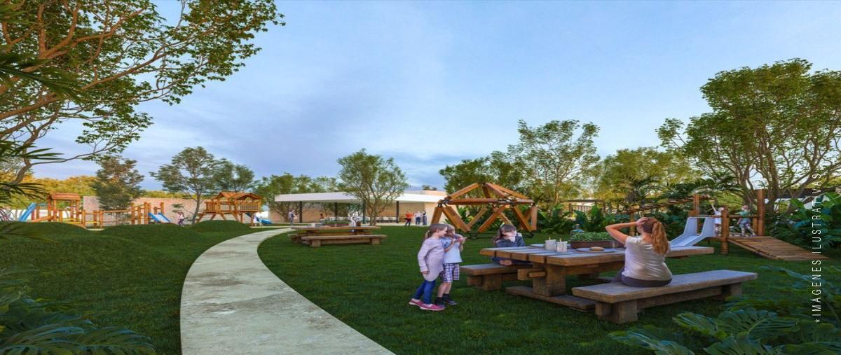 Foto de terreno habitacional en venta en  , conkal, conkal, yucatán, 27888738 No. 05