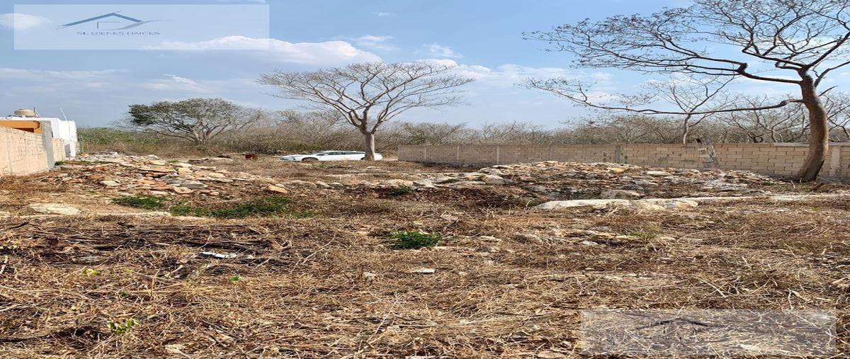 Foto de terreno habitacional en venta en  , conkal, conkal, yucatán, 0 No. 03