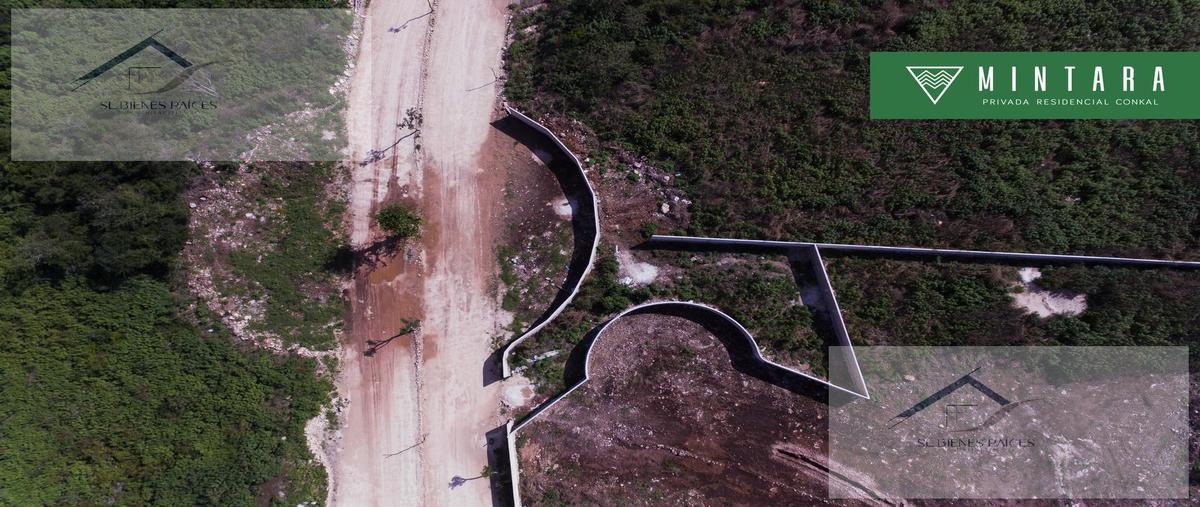 Foto de terreno habitacional en venta en  , conkal, conkal, yucatán, 0 No. 03