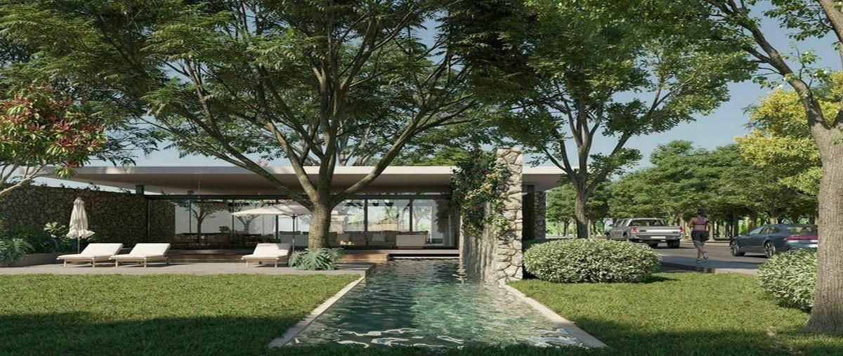 Foto de terreno habitacional en venta en  , conkal, conkal, yucatán, 0 No. 04