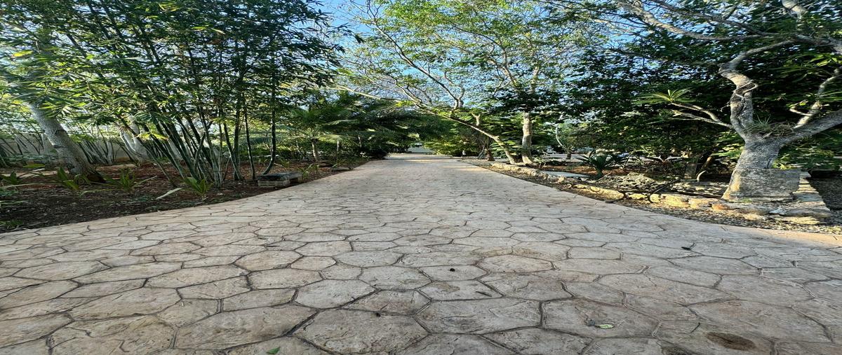 Foto de casa en venta en  , conkal, conkal, yucatán, 28035799 No. 04