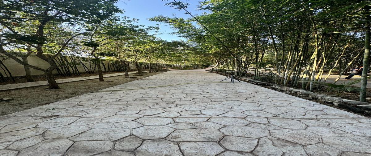 Foto de casa en venta en  , conkal, conkal, yucatán, 28035799 No. 05