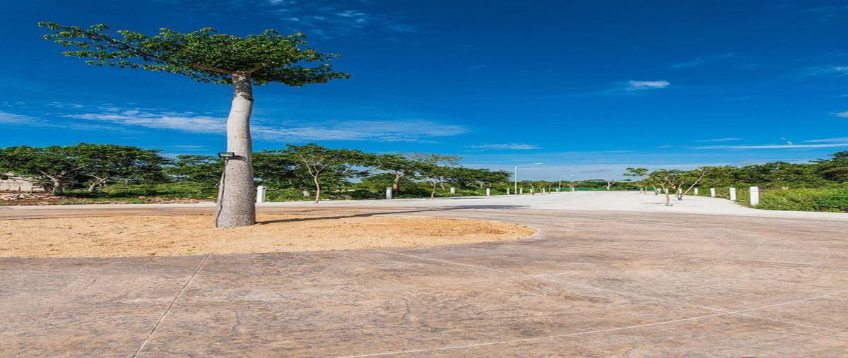 Foto de terreno habitacional en , conkal, conkal, yucatán, 0 foto 04 Foto de terreno habitacional en venta en , conkal, conkal, yucatán, 0 No. 04