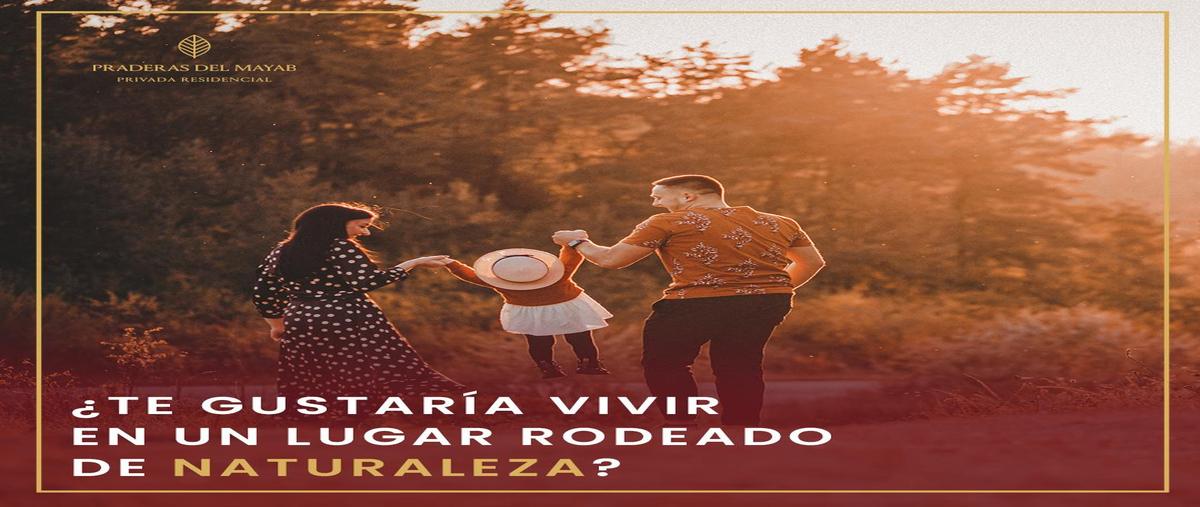 Foto de terreno habitacional en venta en  , conkal, conkal, yucatán, 0 No. 03
