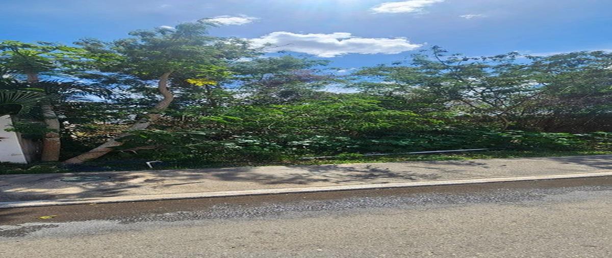 Foto de terreno habitacional en venta en  , conkal, conkal, yucatán, 28155923 No. 04