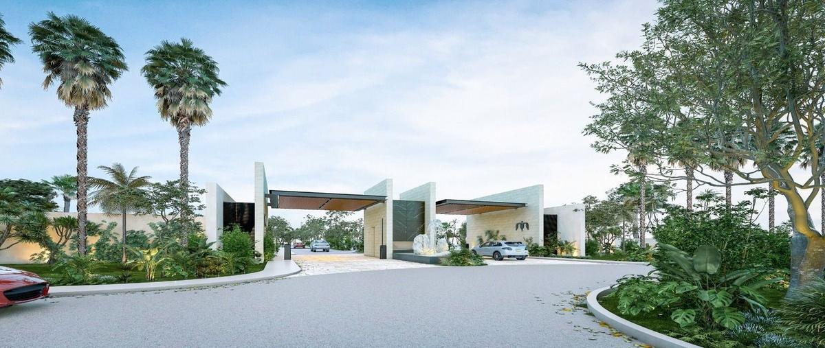 Foto de terreno habitacional en , conkal, conkal, yucatán, 28234904 foto 03 Foto de terreno habitacional en venta en , conkal, conkal, yucatán, 28234904 No. 03