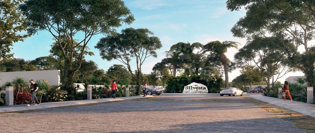 Foto de terreno habitacional en , conkal, conkal, yucatán, 28489217 foto 03 Foto de terreno habitacional en venta en , conkal, conkal, yucatán, 28489217 No. 03