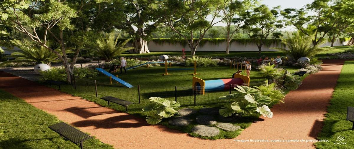 Foto de terreno habitacional en venta en  , conkal, conkal, yucatán, 0 No. 03