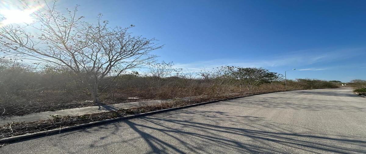 Foto de terreno habitacional en venta en  , conkal, conkal, yucatán, 0 No. 05