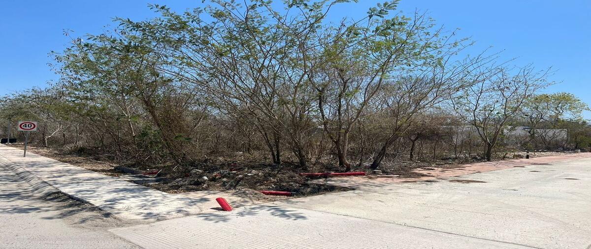 Foto de terreno habitacional en , conkal, conkal, yucatán, 0 foto 02 Foto de terreno habitacional en venta en , conkal, conkal, yucatán, 0 No. 02