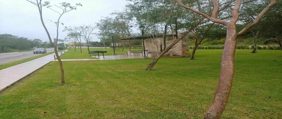 Foto de terreno habitacional en venta en  , conkal, conkal, yucatán, 28561565 No. 03