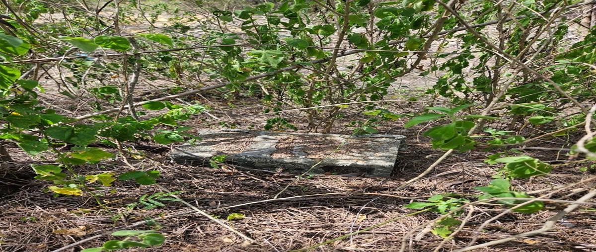 Foto de terreno habitacional en , conkal, conkal, yucatán, 0 foto 05 Foto de terreno habitacional en venta en , conkal, conkal, yucatán, 0 No. 05