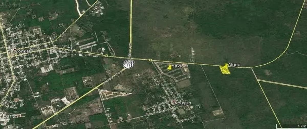 Foto de terreno habitacional en venta en  , conkal, conkal, yucatán, 28642382 No. 04