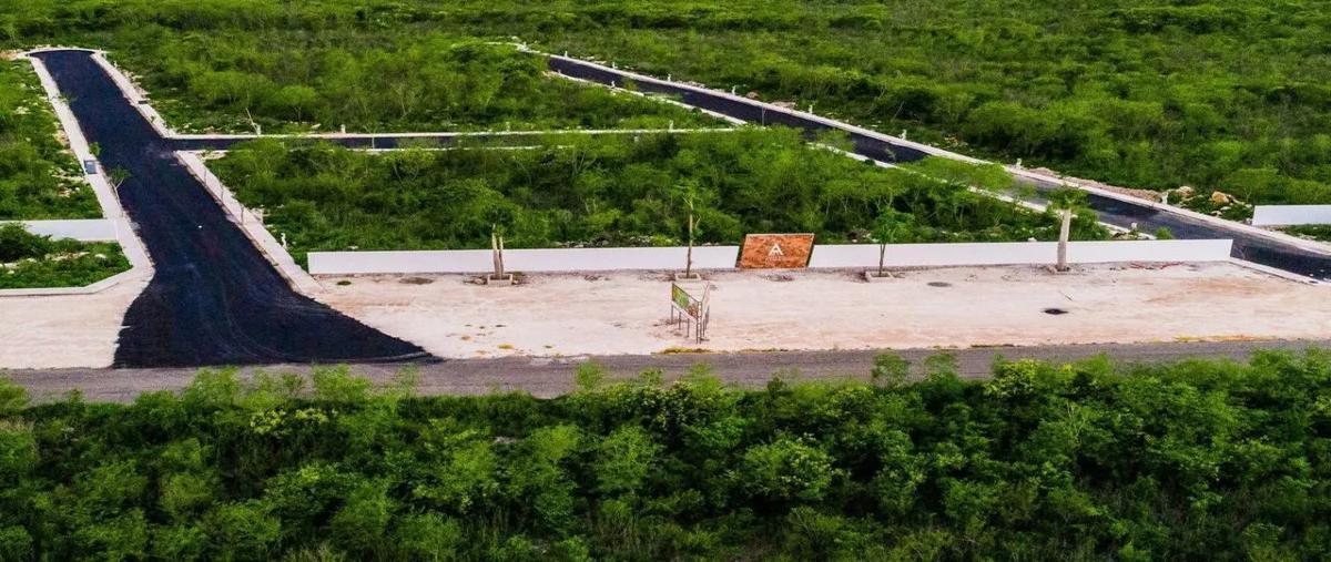 Foto de terreno habitacional en venta en  , conkal, conkal, yucatán, 28642382 No. 05