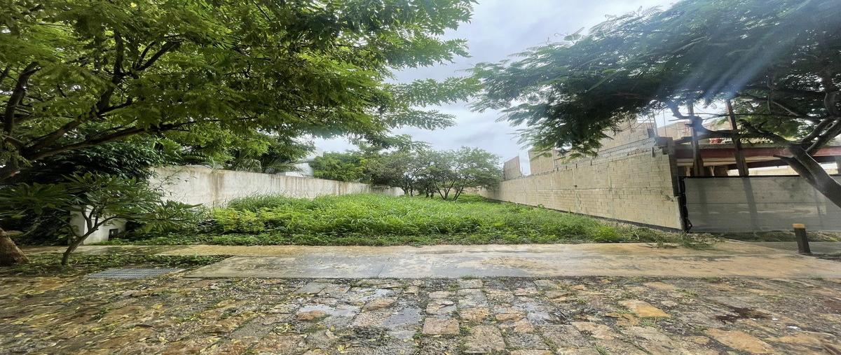 Foto de terreno habitacional en venta en  , conkal, conkal, yucatán, 0 No. 03