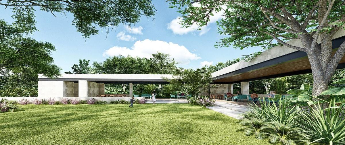 Foto de terreno habitacional en venta en - , conkal, conkal, yucatán, 0 No. 05