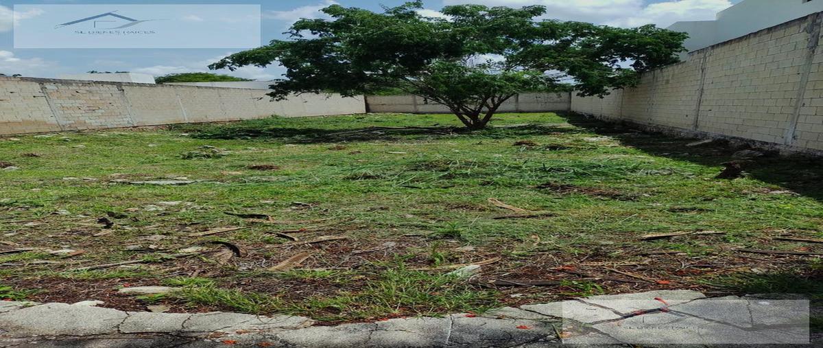 Foto de terreno habitacional en venta en  , conkal, conkal, yucatán, 28902905 No. 03