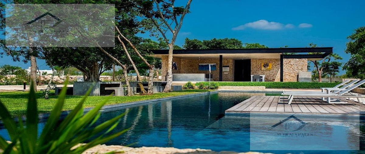 Foto de terreno habitacional en venta en  , conkal, conkal, yucatán, 28902905 No. 04