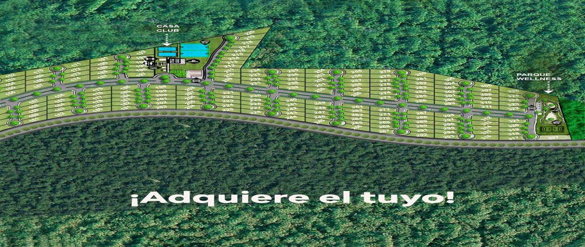 Foto de terreno habitacional en venta en  , conkal, conkal, yucatán, 0 No. 04