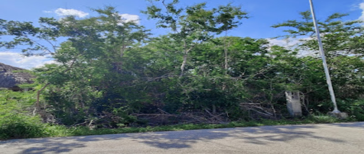 Foto de terreno habitacional en , conkal, conkal, yucatán, 0 foto 04 Foto de terreno habitacional en venta en , conkal, conkal, yucatán, 0 No. 04
