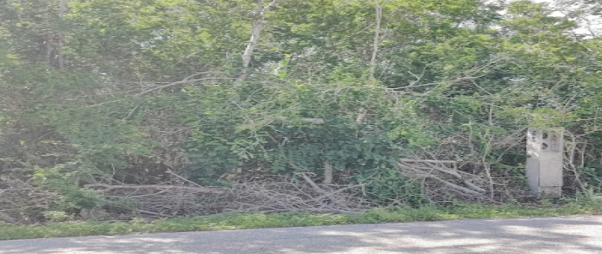 Foto de terreno habitacional en , conkal, conkal, yucatán, 0 foto 05 Foto de terreno habitacional en venta en , conkal, conkal, yucatán, 0 No. 05