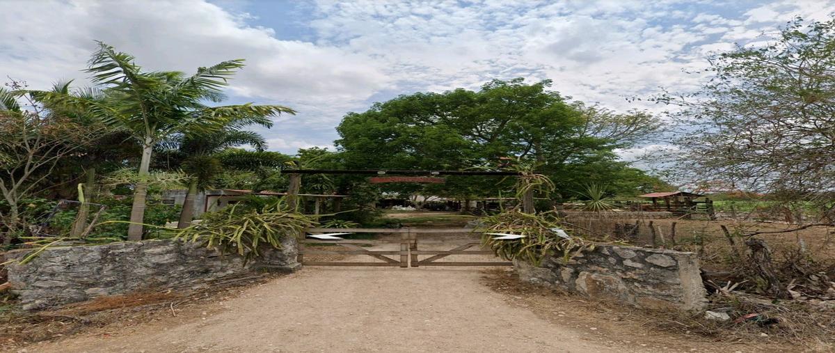 Foto de terreno habitacional en venta en . , conkal, conkal, yucatán, 29290511 No. 03