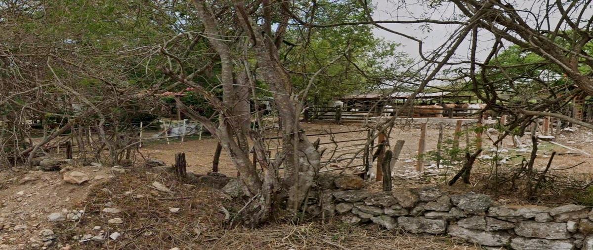 Foto de terreno habitacional en venta en . , conkal, conkal, yucatán, 29290511 No. 04