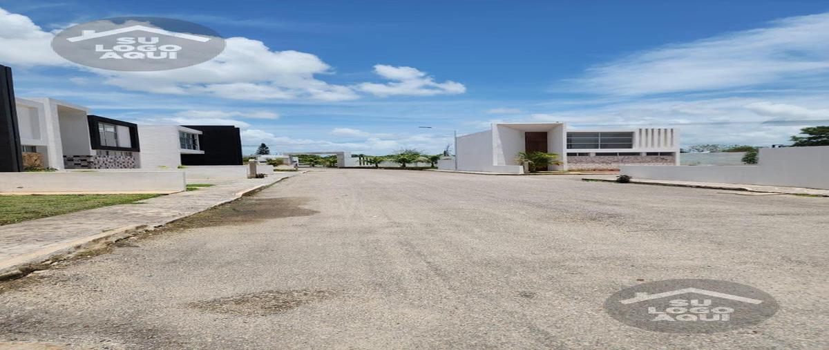 Foto de terreno habitacional en venta en  , conkal, conkal, yucatán, 29335822 No. 03