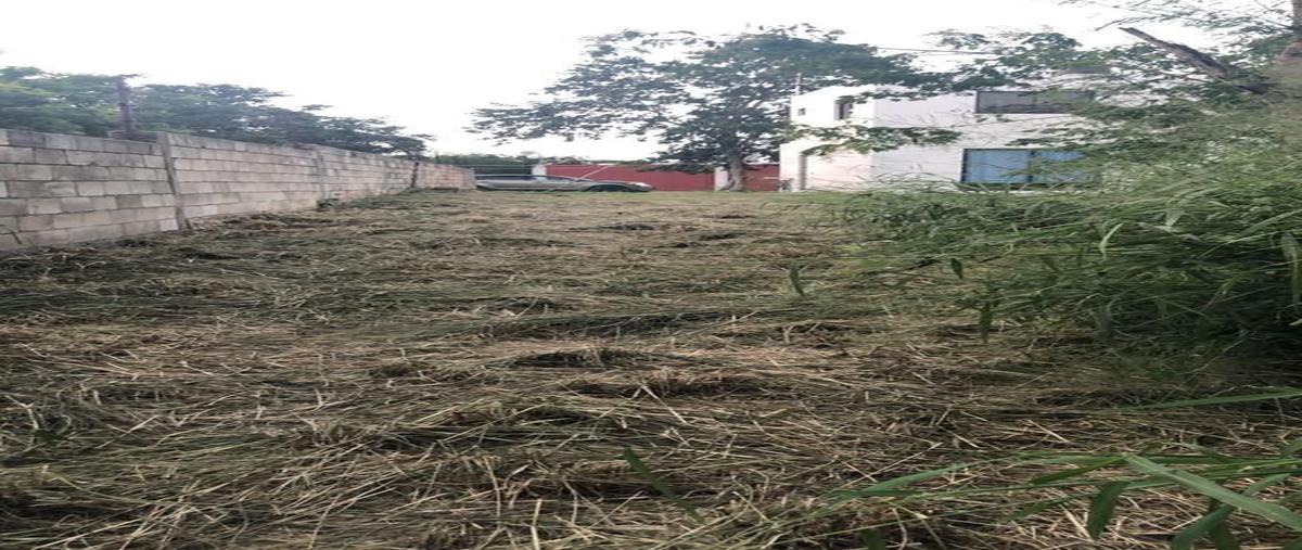 Foto de terreno habitacional en venta en  , conkal, conkal, yucatán, 0 No. 03