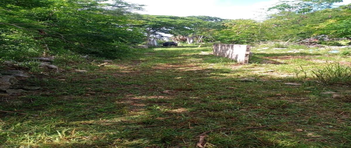 Foto de terreno habitacional en venta en  , conkal, conkal, yucatán, 0 No. 04