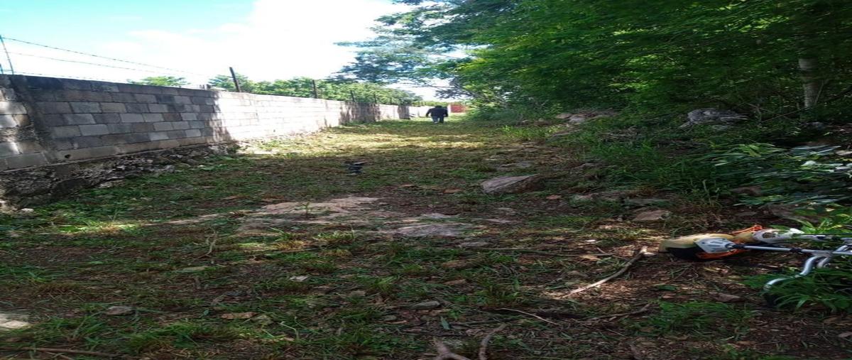 Foto de terreno habitacional en venta en  , conkal, conkal, yucatán, 0 No. 05