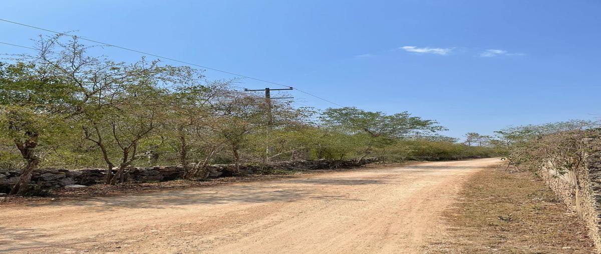 Foto de terreno habitacional en , conkal, conkal, yucatán, 0 foto 02 Foto de terreno habitacional en venta en , conkal, conkal, yucatán, 0 No. 02