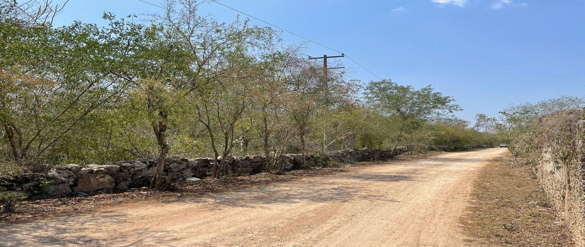 Foto de terreno habitacional en , conkal, conkal, yucatán, 0 foto 04 Foto de terreno habitacional en venta en , conkal, conkal, yucatán, 0 No. 04