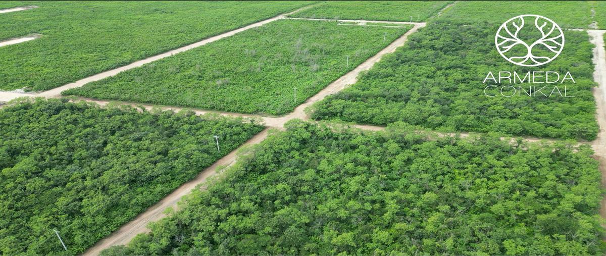 Foto de terreno habitacional en venta en  , conkal, conkal, yucatán, 0 No. 03