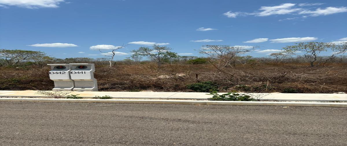 Foto de terreno habitacional en , conkal, conkal, yucatán, 29756497 foto 03 Foto de terreno habitacional en venta en , conkal, conkal, yucatán, 29756497 No. 03