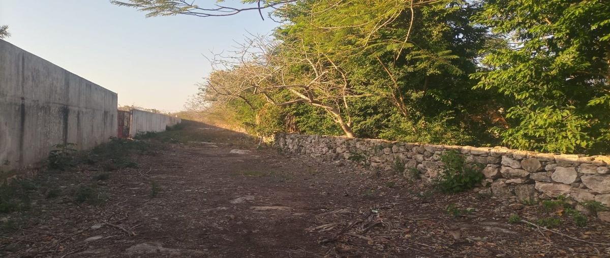 Foto de terreno habitacional en , conkal, conkal, yucatán, 0 foto 01 Foto de terreno habitacional en venta en , conkal, conkal, yucatán, 0 No. 01