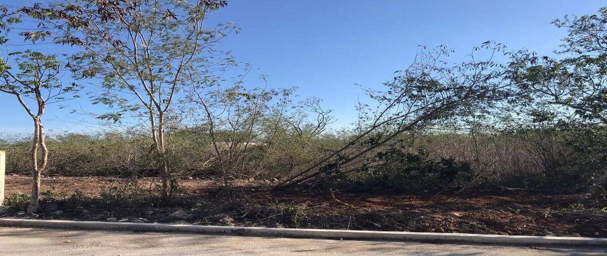 Foto de terreno habitacional en , conkal, conkal, yucatán, 0 foto 02 Foto de terreno habitacional en venta en , conkal, conkal, yucatán, 0 No. 02