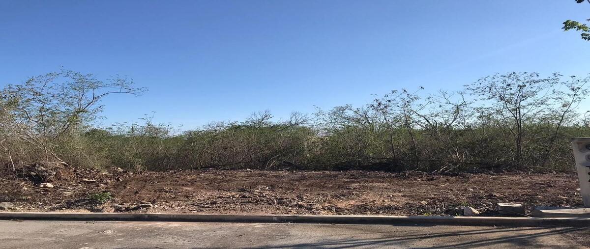 Foto de terreno habitacional en , conkal, conkal, yucatán, 0 foto 03 Foto de terreno habitacional en venta en , conkal, conkal, yucatán, 0 No. 03
