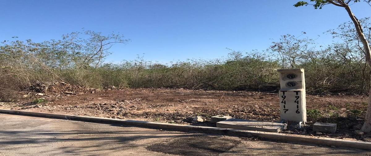 Foto de terreno habitacional en , conkal, conkal, yucatán, 0 foto 05 Foto de terreno habitacional en venta en , conkal, conkal, yucatán, 0 No. 05