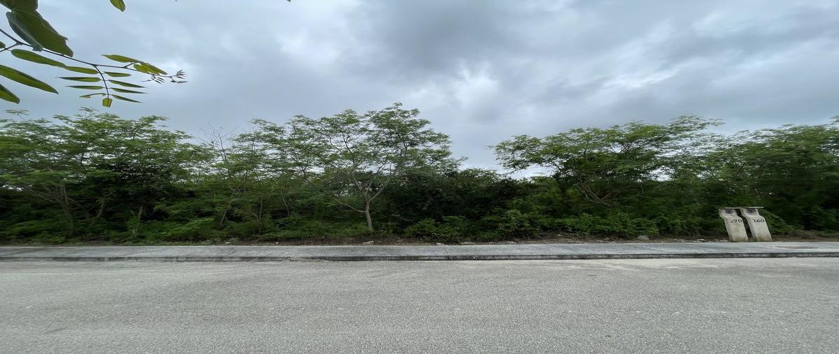 Foto de terreno habitacional en venta en  , conkal, conkal, yucatán, 0 No. 04