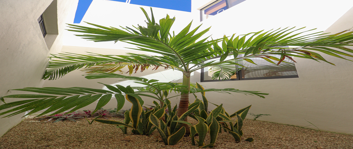 Foto de casa en venta en  , conkal, conkal, yucatán, 0 No. 05