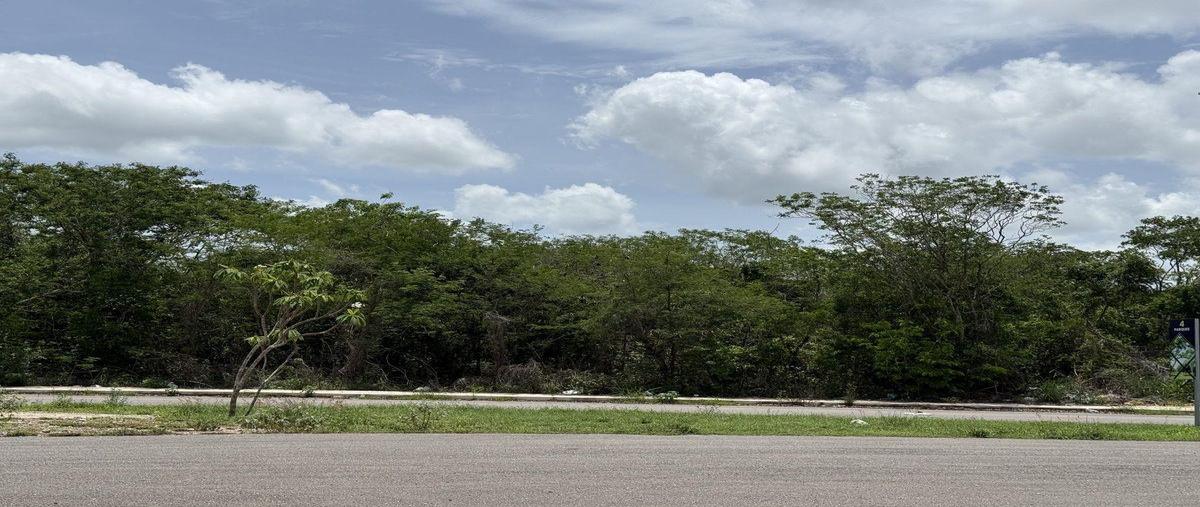 Foto de terreno habitacional en venta en  , conkal, conkal, yucatán, 0 No. 04