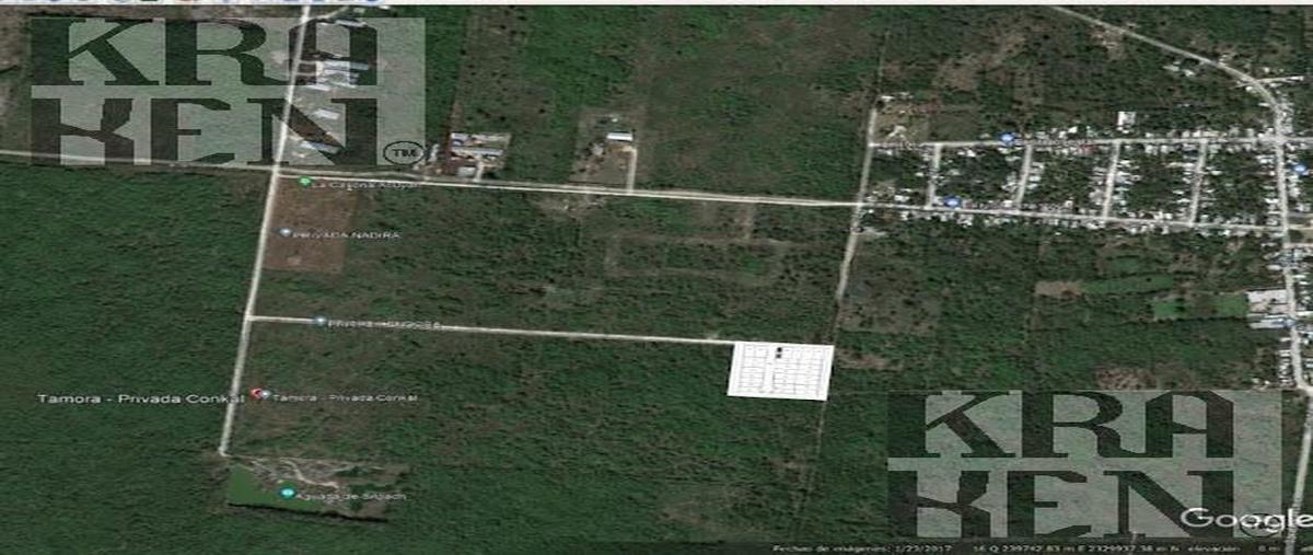 Foto de terreno habitacional en venta en  , conkal, conkal, yucatán, 30076483 No. 03