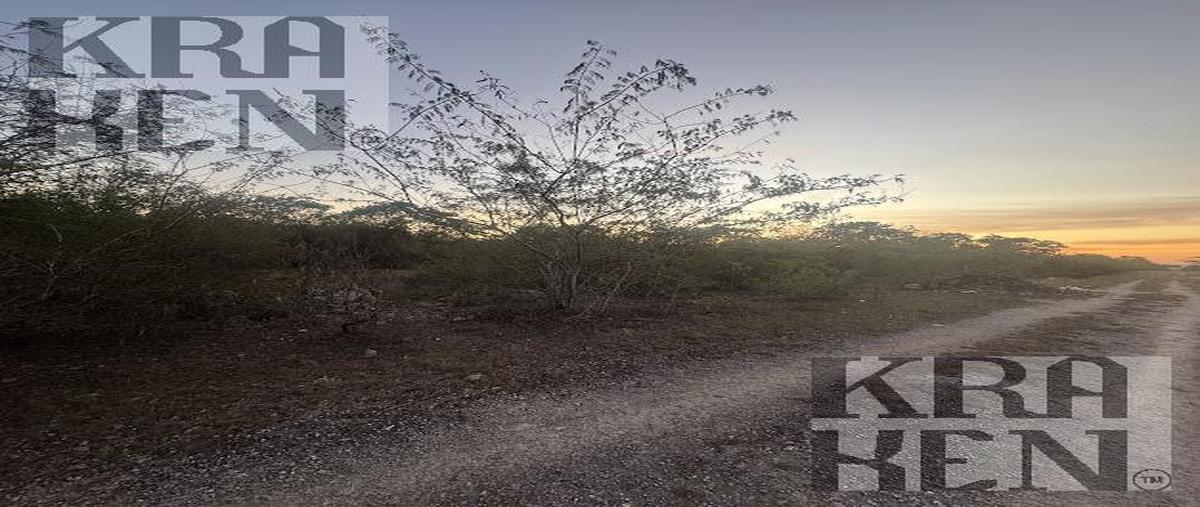 Foto de terreno habitacional en venta en  , conkal, conkal, yucatán, 30076483 No. 04