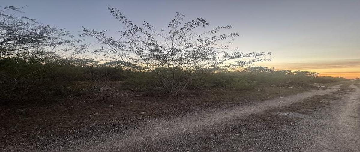 Foto de terreno habitacional en venta en  , conkal, conkal, yucatán, 0 No. 04
