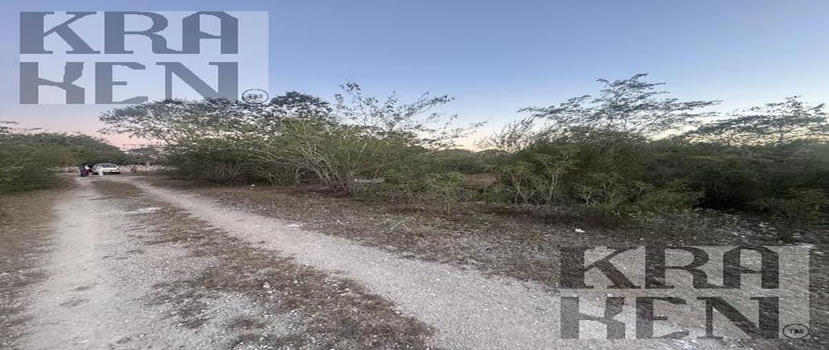 Foto de terreno habitacional en venta en  , conkal, conkal, yucatán, 30076483 No. 05