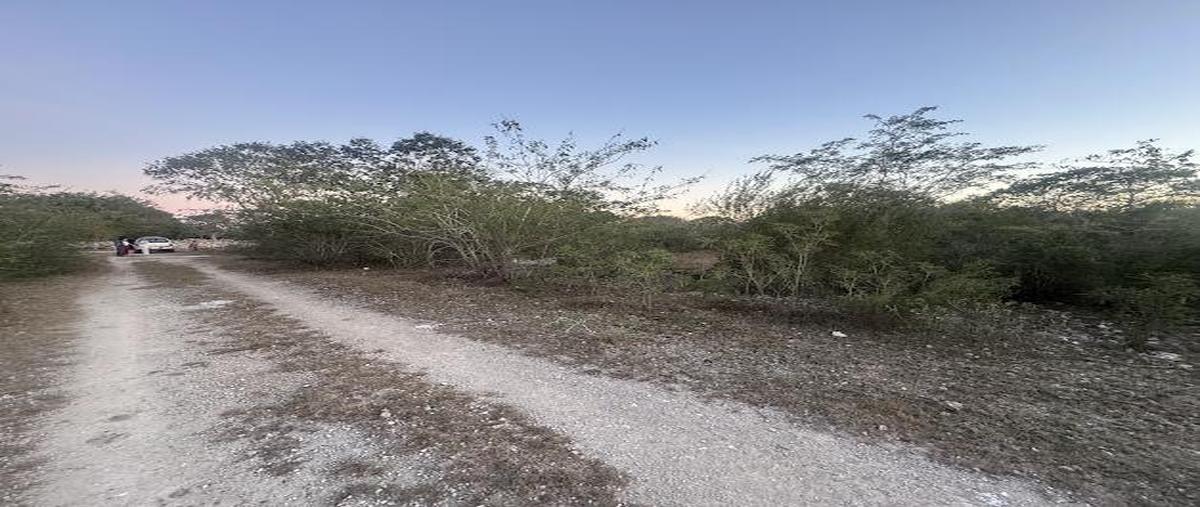 Foto de terreno habitacional en venta en  , conkal, conkal, yucatán, 0 No. 05